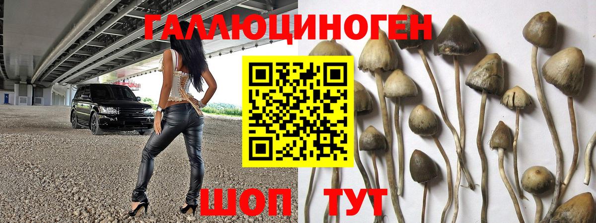 Россошь  Псилоцибиновые грибы мицелий  Галлюциногенные грибы мухоморы  Вход с VPN 